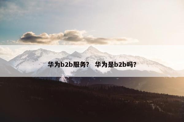 华为b2b服务？ 华为是b2b吗？