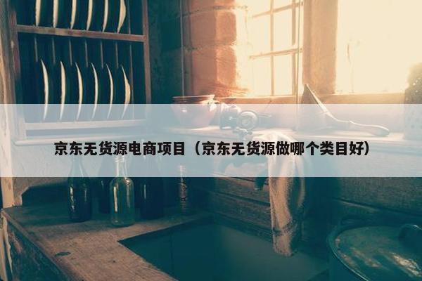 京东无货源电商项目（京东无货源做哪个类目好）