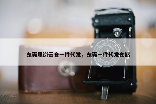 东莞凤岗云仓一件代发，东莞一件代发仓储