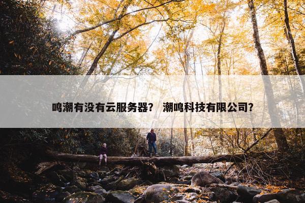 鸣潮有没有云服务器？ 潮鸣科技有限公司？