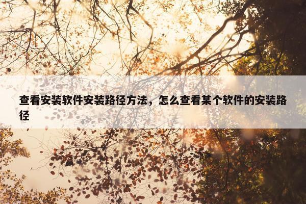 查看安装软件安装路径方法，怎么查看某个软件的安装路径