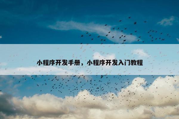 小程序开发手册，小程序开发入门教程