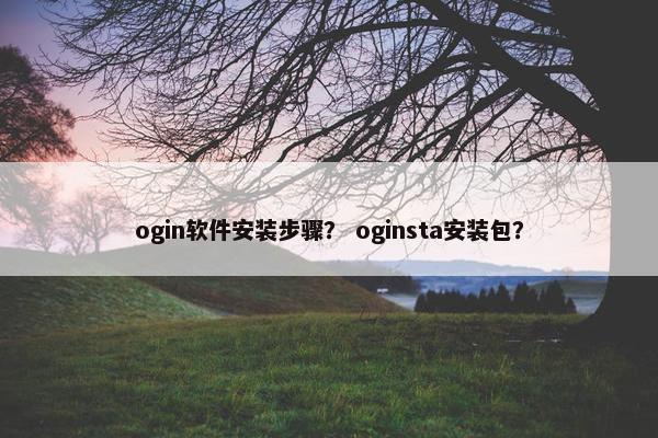 ogin软件安装步骤？ oginsta安装包？