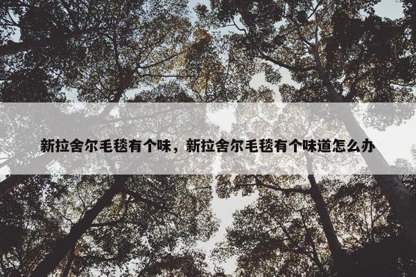 新拉舍尔毛毯有个味，新拉舍尔毛毯有个味道怎么办