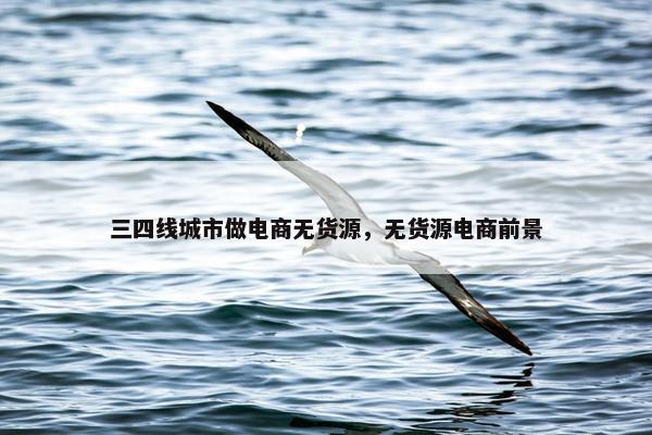 三四线城市做电商无货源，无货源电商前景