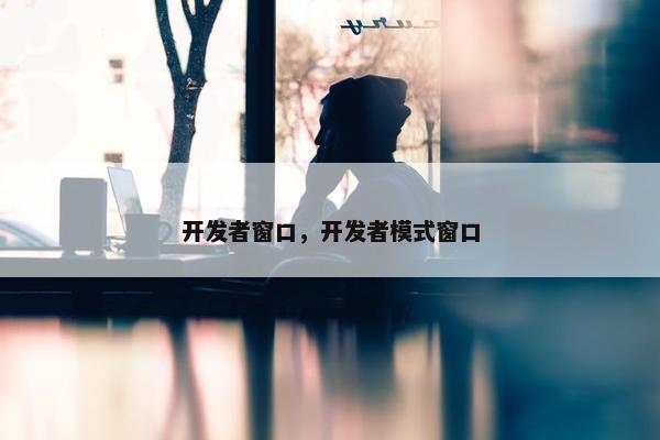 开发者窗口，开发者模式窗口