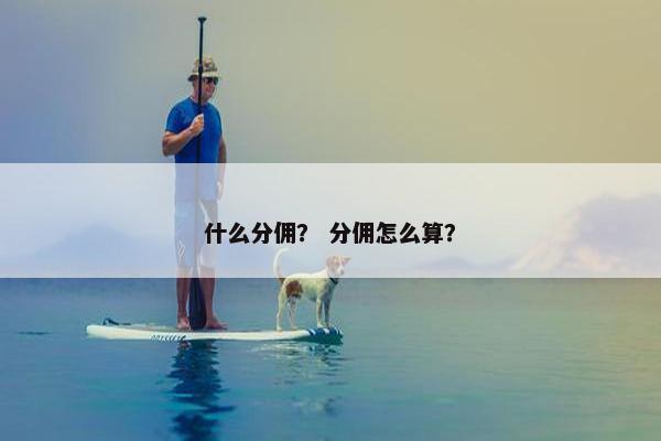 什么分佣？ 分佣怎么算？
