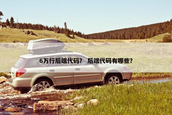 6万行后端代码？ 后端代码有哪些？