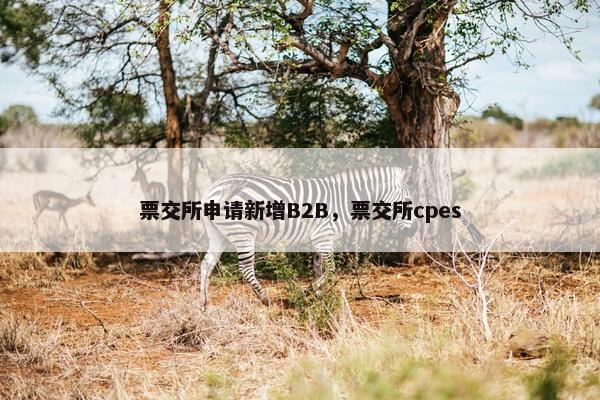 票交所申请新增B2B，票交所cpes