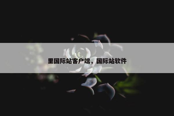 里国际站客户端，国际站软件