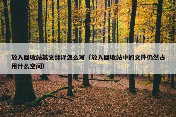放入回收站英文翻译怎么写（放入回收站中的文件仍然占用什么空间）