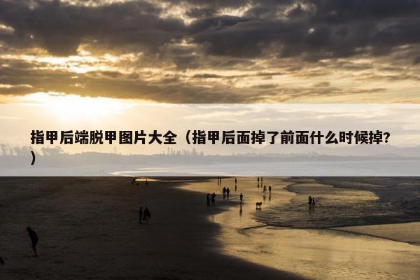 指甲后端脱甲图片大全（指甲后面掉了前面什么时候掉?）