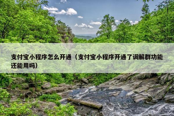 支付宝小程序怎么开通（支付宝小程序开通了调解群功能还能用吗）