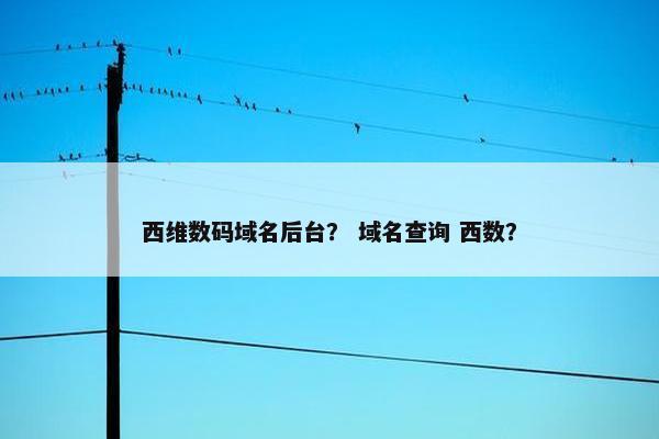 西维数码域名后台？ 域名查询 西数？
