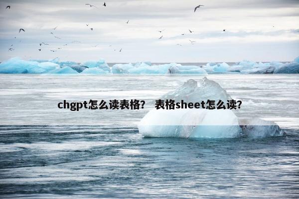 chgpt怎么读表格？ 表格sheet怎么读？