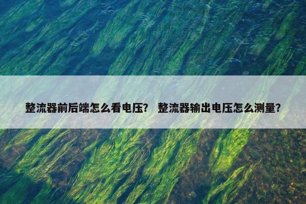 整流器前后端怎么看电压？ 整流器输出电压怎么测量？