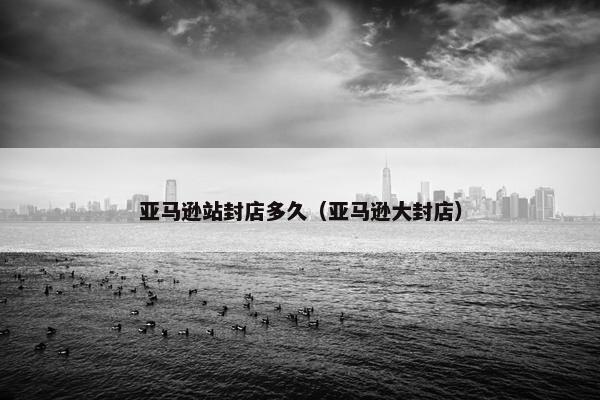 亚马逊站封店多久（亚马逊大封店）