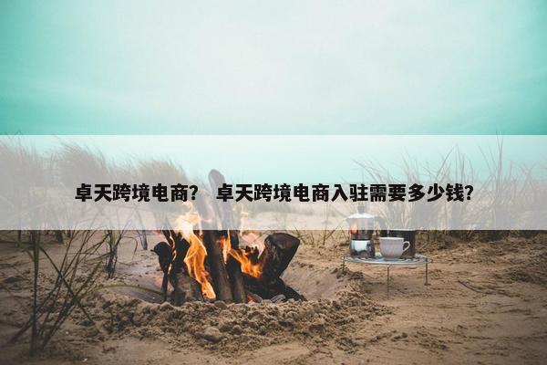 卓天跨境电商？ 卓天跨境电商入驻需要多少钱？