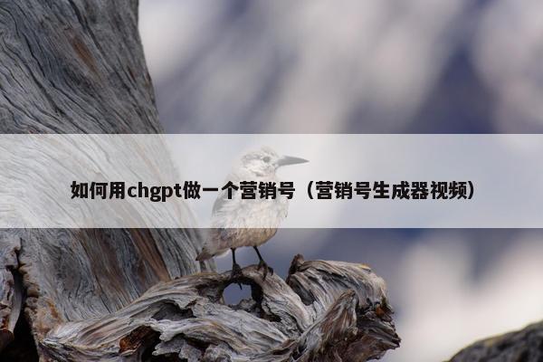 如何用chgpt做一个营销号（营销号生成器视频）