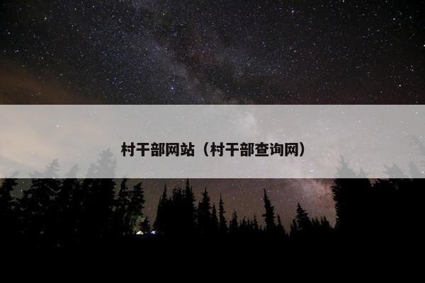 村干部网站（村干部查询网）