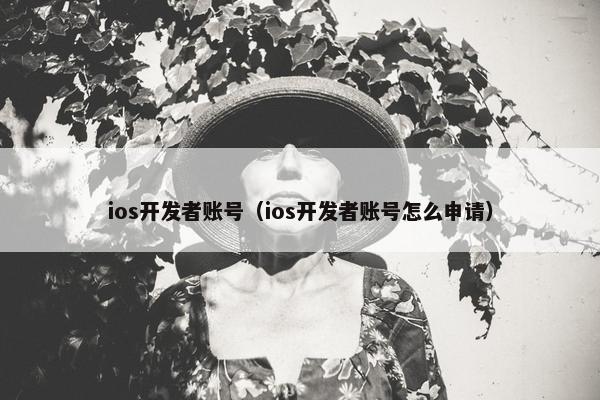 ios开发者账号（ios开发者账号怎么申请）