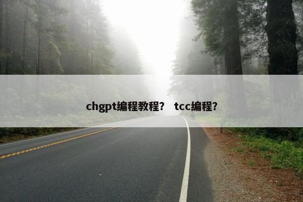 chgpt编程教程？ tcc编程？