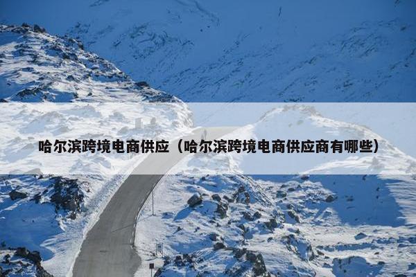 哈尔滨跨境电商供应（哈尔滨跨境电商供应商有哪些）
