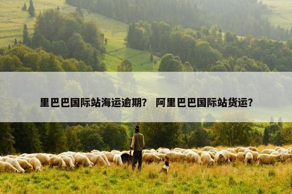 里巴巴国际站海运逾期？ 阿里巴巴国际站货运？