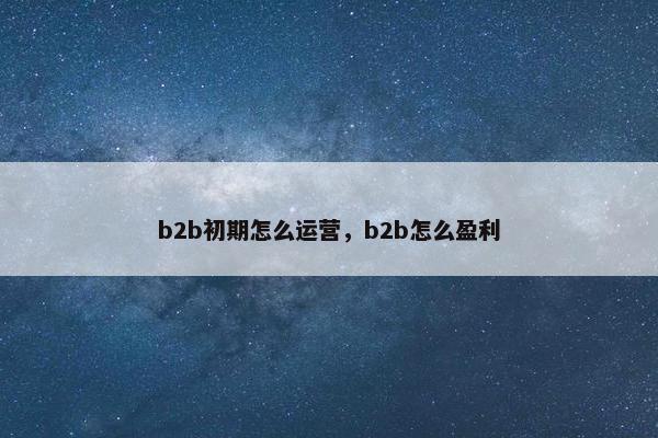 b2b初期怎么运营，b2b怎么盈利
