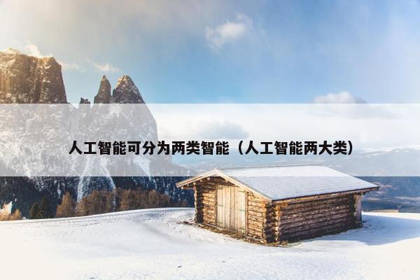 人工智能可分为两类智能（人工智能两大类）