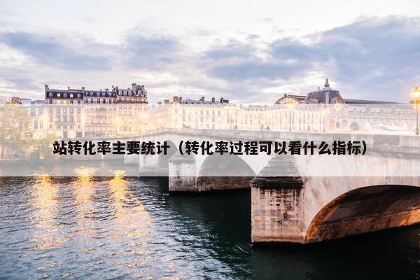 站转化率主要统计（转化率过程可以看什么指标）