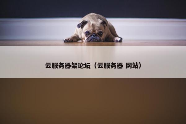云服务器架论坛（云服务器 网站）