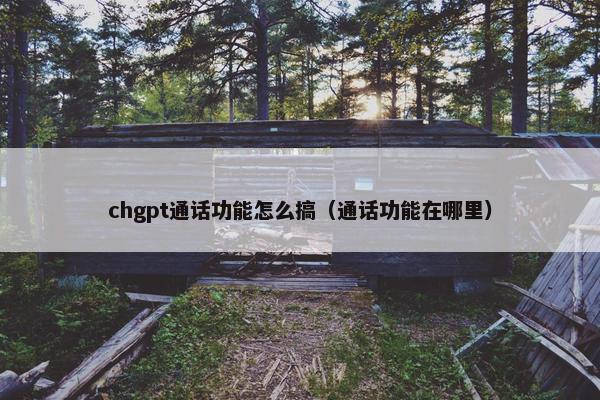 chgpt通话功能怎么搞（通话功能在哪里）
