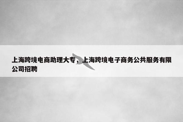 上海跨境电商助理大专，上海跨境电子商务公共服务有限公司招聘