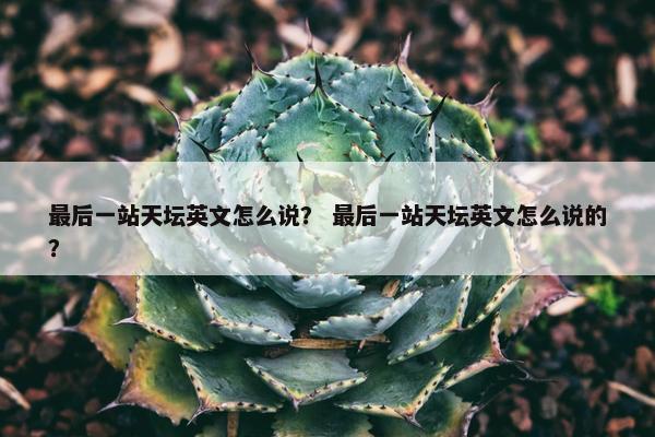 最后一站天坛英文怎么说？ 最后一站天坛英文怎么说的？
