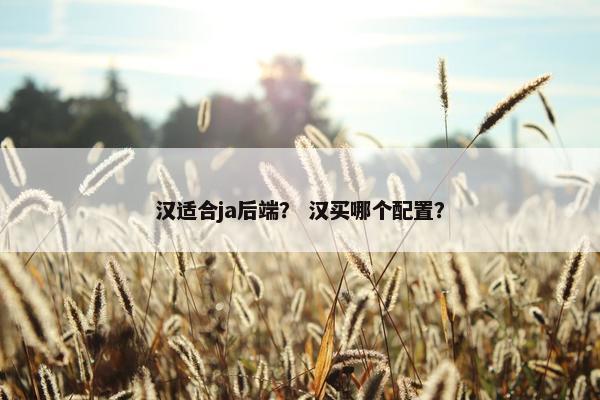 汉适合ja后端？ 汉买哪个配置？