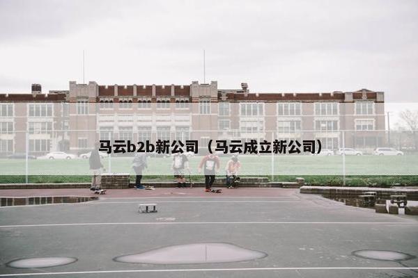 马云b2b新公司（马云成立新公司）