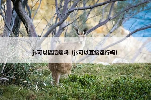 js可以搞后端吗（js可以直接运行吗）
