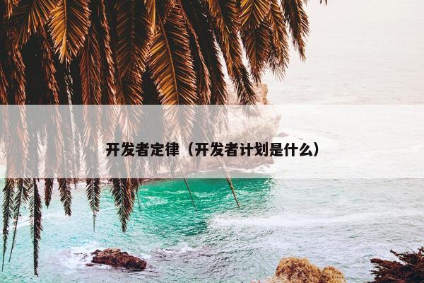 开发者定律（开发者计划是什么）