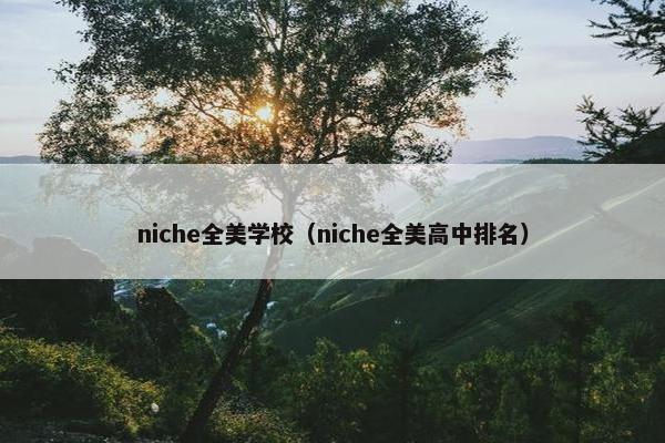 niche全美学校（niche全美高中排名）