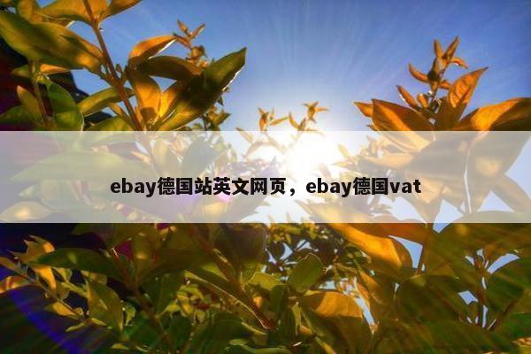 ebay德国站英文网页，ebay德国vat