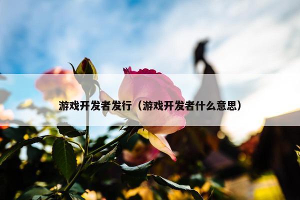游戏开发者发行（游戏开发者什么意思）