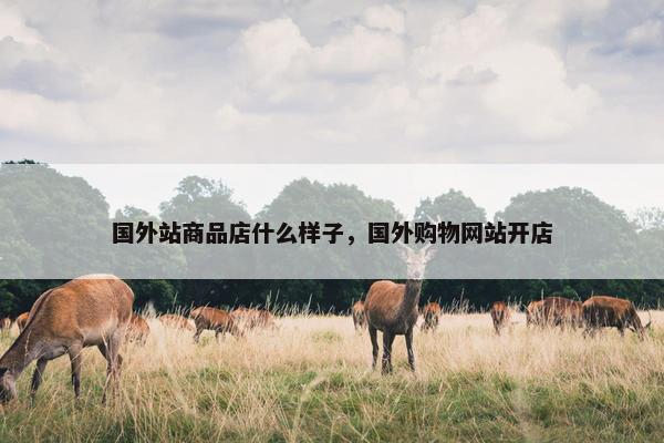 国外站商品店什么样子，国外购物网站开店