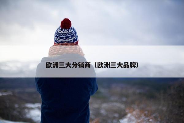 欧洲三大分销商（欧洲三大品牌）
