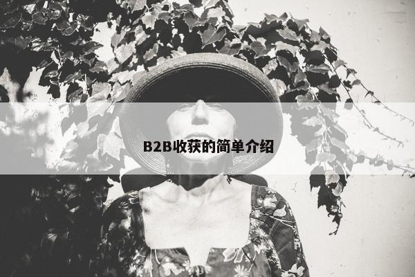 B2B收获的简单介绍