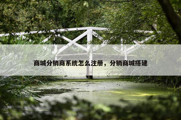 商城分销商系统怎么注册，分销商城搭建