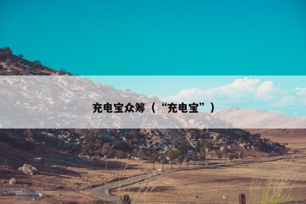 充电宝众筹（“充电宝”）