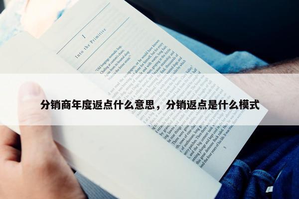 分销商年度返点什么意思，分销返点是什么模式