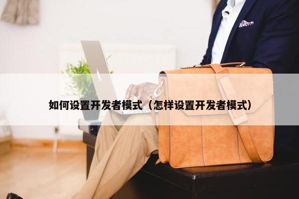 如何设置开发者模式（怎样设置开发者模式）