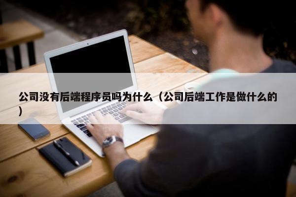 公司没有后端程序员吗为什么（公司后端工作是做什么的）